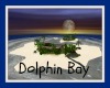 ~SB Dolphin Bay