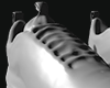 Shoes Drv F.