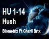 {R} Hush - biometrix 