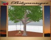 Anns tree N swing