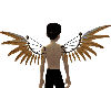Rusted Brass Wings