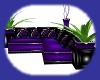 purple rose sofa