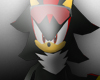 shadow sonic