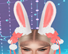 Bunny Ears / Coelho