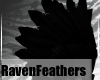 BlackRavenHeadFeathersM