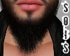 Beard^WO.Ast