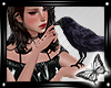 !! My Familiar (Raven)