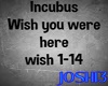 ♪J♪ Incubus - Wish