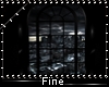F| Dark City Window