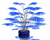 planta azul