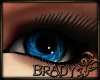 [B]blue xtacy eyes F