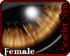 (Ss) September Eyes -F