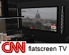 Flat Screen TV CNN news