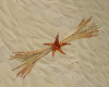 ~SB Sandfiddlers Decor