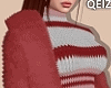 Winter Fur Coat