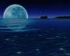 Love Moonlight Island