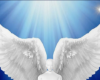 Angel wings blue bg