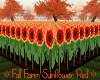 Fall Farm Sunflower Red