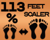 Feet Scaler 113%