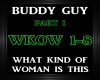 Buddy Guy-What Kind  1