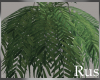 Rus Leaf Hanging Plant 2