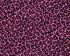 Pink Leopard