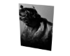 Cutout King