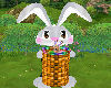 Bunny With Basket Hide
