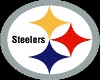 Steelers Fan Sticker