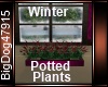 [BD] Winter Potted plant
