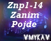 ZANIM POJDE