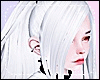 *Y* Erzai Yuki
