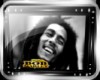 Bob Marley-Plasma TV