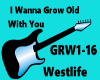 I WANNA GROW OLD W/YOU