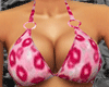 *-*Kiss Pink Bikini