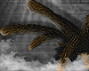 PineBangosYe