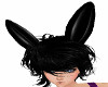 PVC Bunny Ears