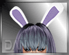 [LD]Bunny Ears Purple