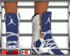 D| Blue&White Jordan 6s