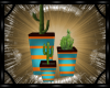 *T Sw City Cactus Plant