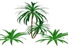 Trio Plant