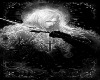 Alucard Tepes