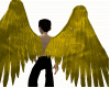 Angel Yellow Wings M/F