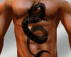 [MM]any skin chest