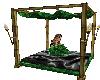 Canopy Bed with poses