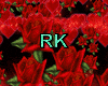 DJ Red Roses