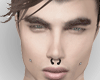 🇹. Articus Head V2
