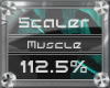 (3) Chest/Mscle (112.5%)