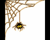 LL~Sticker Spider