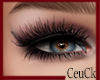 ₢ Lashes
